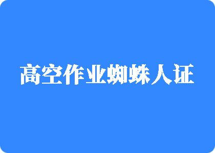 摸胸操逼插逼视频网站高空作业蜘蛛人证